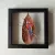 ARARA VERMELHA - Moldura preta - Tam. 23x23 - comprar online