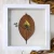 CANÁRIO DA TERRA - Moldura 23X23 branca - comprar online